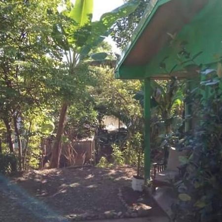 Villa Casa Flor De Annia ~ Cozy 2 Bdrm On The River Sierpe ~ Walkable To Town Exterior foto