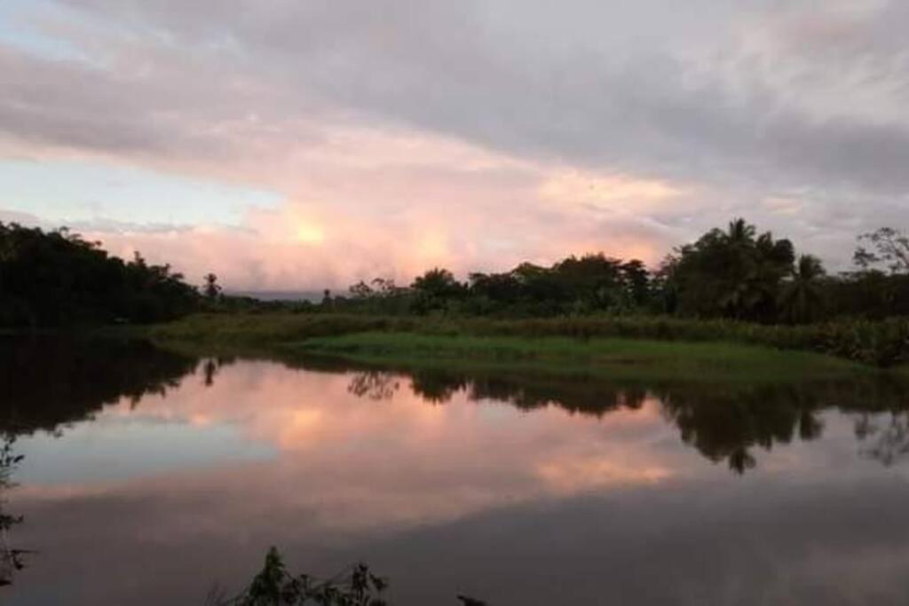 Villa Casa Flor De Annia ~ Cozy 2 Bdrm On The River Sierpe ~ Walkable To Town Exterior foto