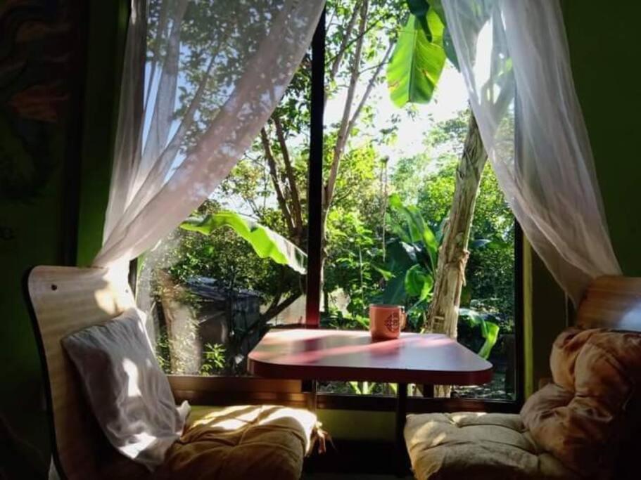 Villa Casa Flor De Annia ~ Cozy 2 Bdrm On The River Sierpe ~ Walkable To Town Exterior foto